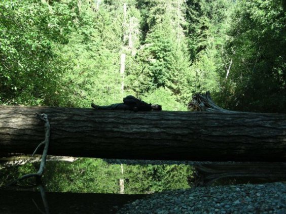 46336_1531133312762_7472178_n