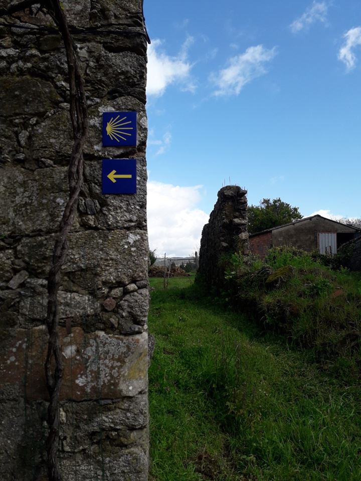 56848082_10216140134630592_639728365057605632_n